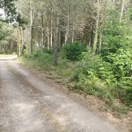 Du Maou - Maison Avec Piscine 度假居 Lesperon (Landes)